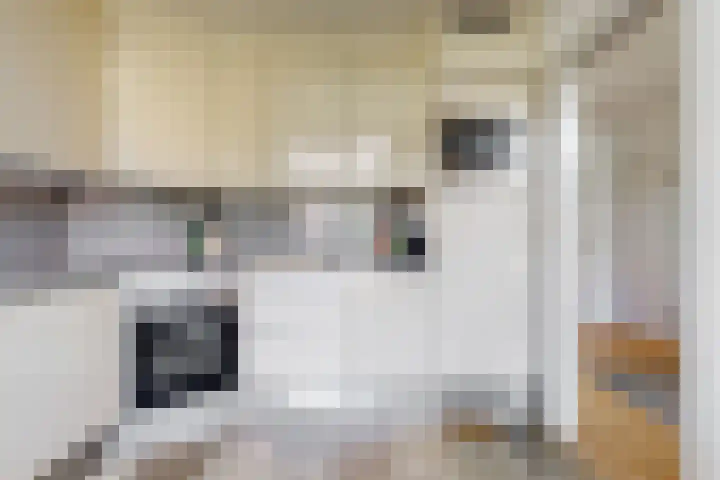 Jasmijnlaan 20 Woerden thumbnail 21