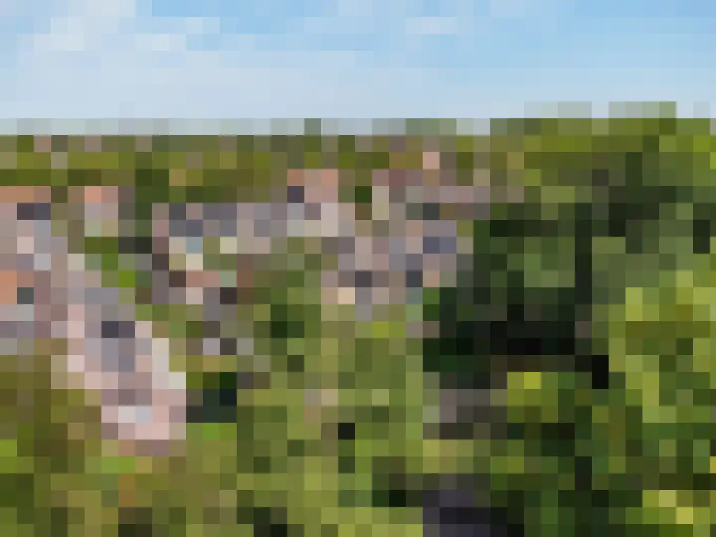 Jasmijnlaan 20 Woerden thumbnail 53