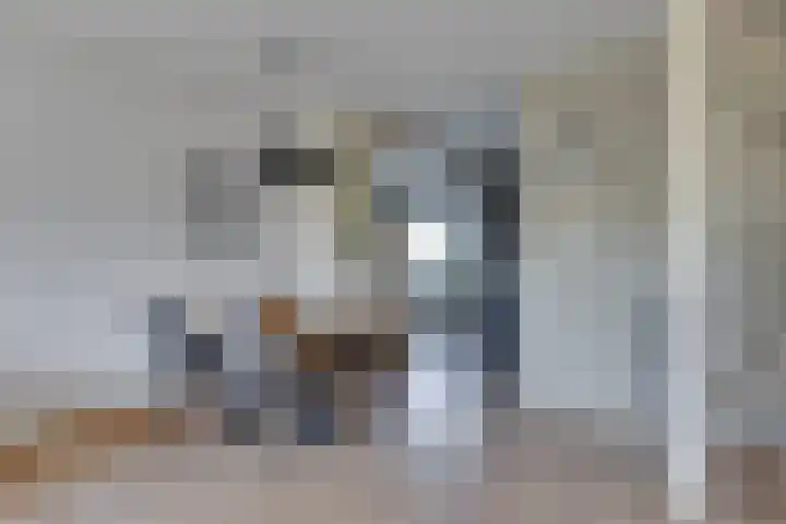 Jasmijnlaan 203 Winterswijk thumbnail 13