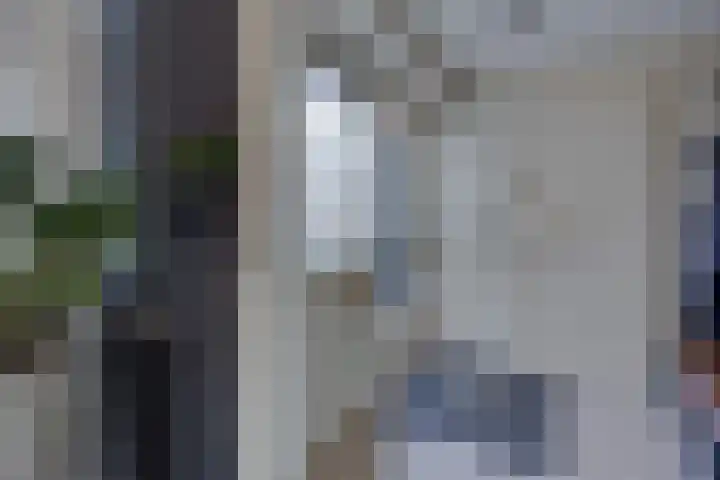 Jasmijnlaan 203 Winterswijk thumbnail 19