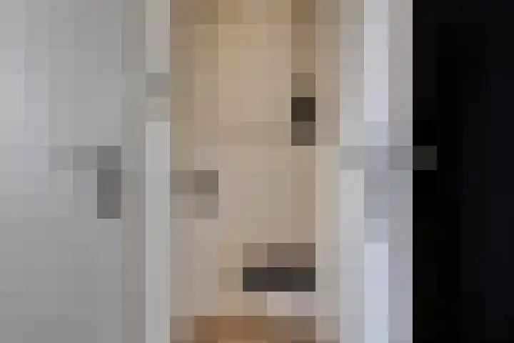 Jasmijnlaan 203 Winterswijk thumbnail 20