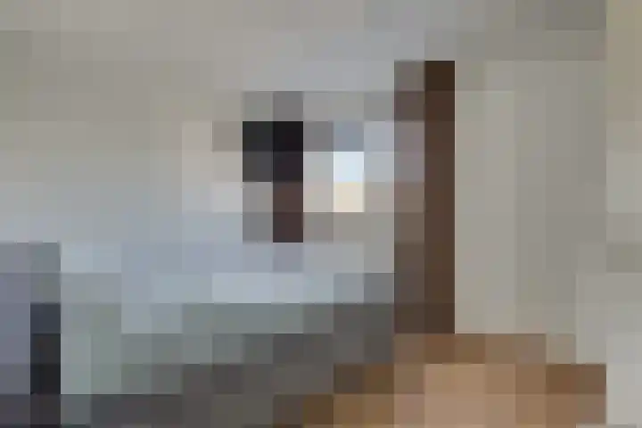 Jasmijnlaan 203 Winterswijk thumbnail 21