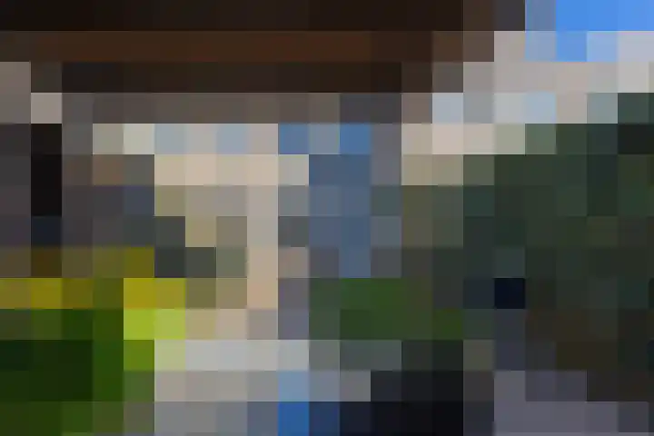 Jasmijnlaan 203 Winterswijk thumbnail 31