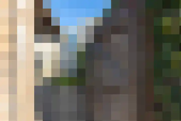 Jasmijnlaan 203 Winterswijk thumbnail 35