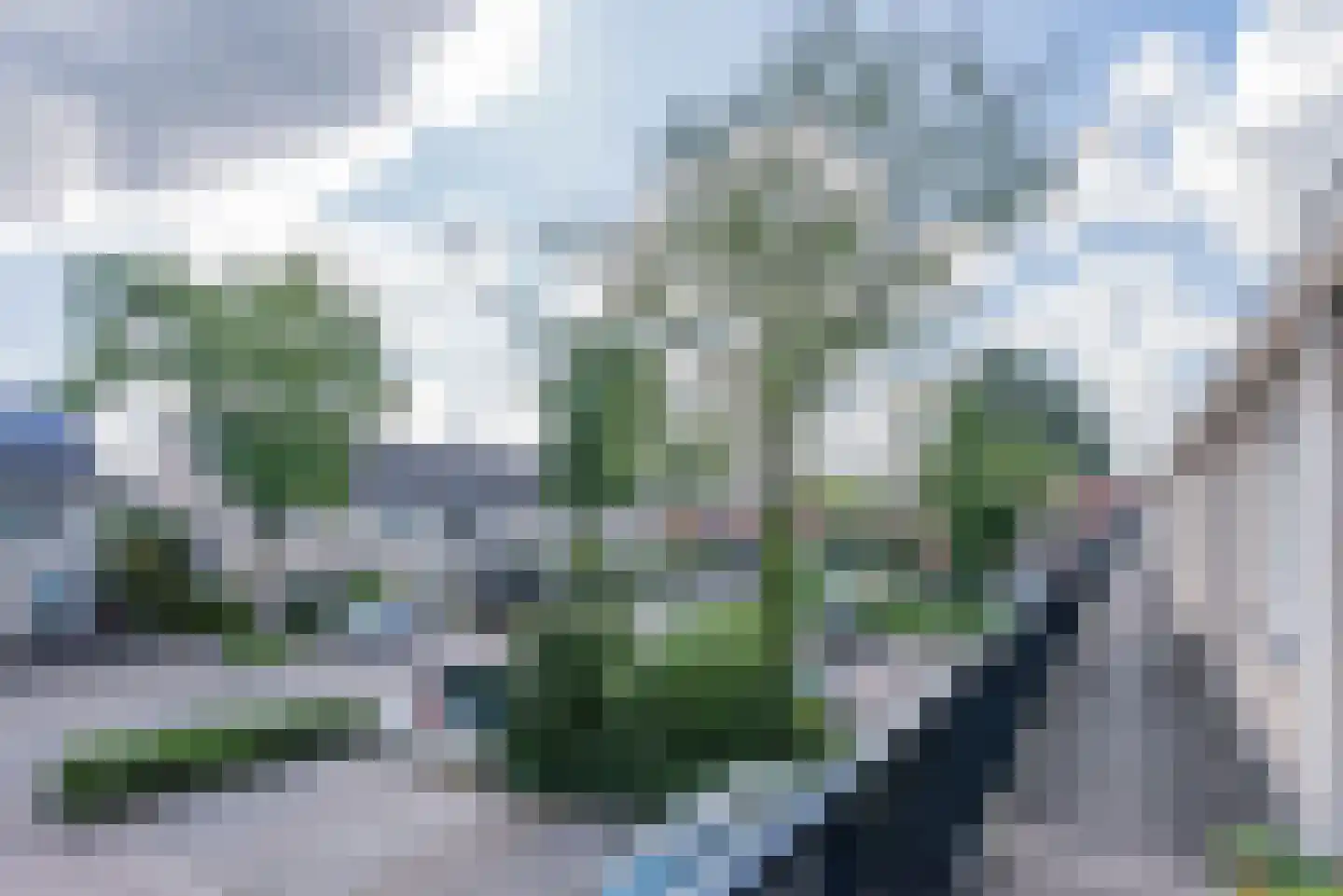 Jasmijnlaan 27 Loosdrecht thumbnail 4