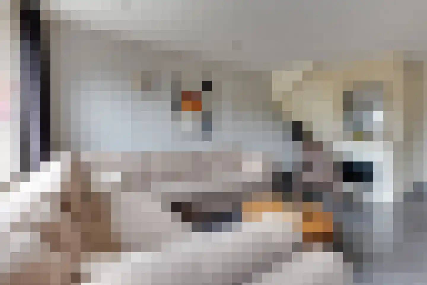Jasmijnlaan 285 Winterswijk thumbnail 7