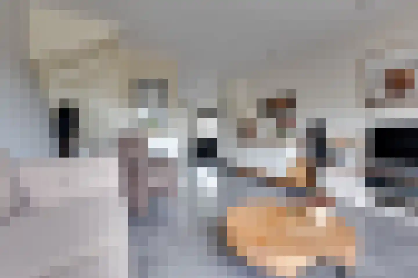 Jasmijnlaan 285 Winterswijk thumbnail 8