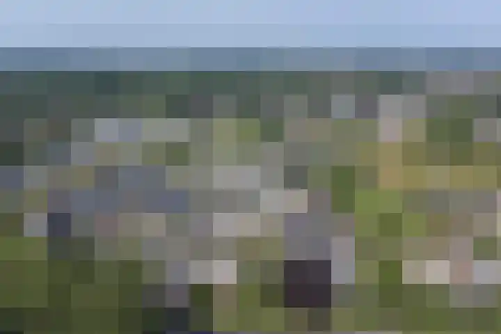 Jasmijnlaan 291 Winterswijk thumbnail 33