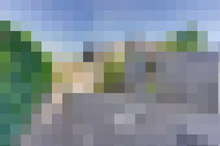 Jasmijnlaan 291 Winterswijk thumbnail 5