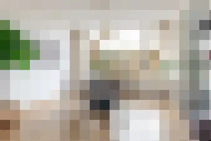 Jasmijnlaan 3 Gouda thumbnail 18