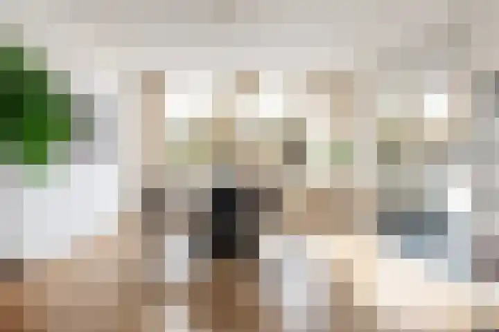 Jasmijnlaan 3 Gouda thumbnail 19