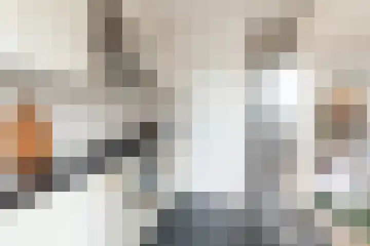 Jasmijnlaan 3 Gouda thumbnail 29