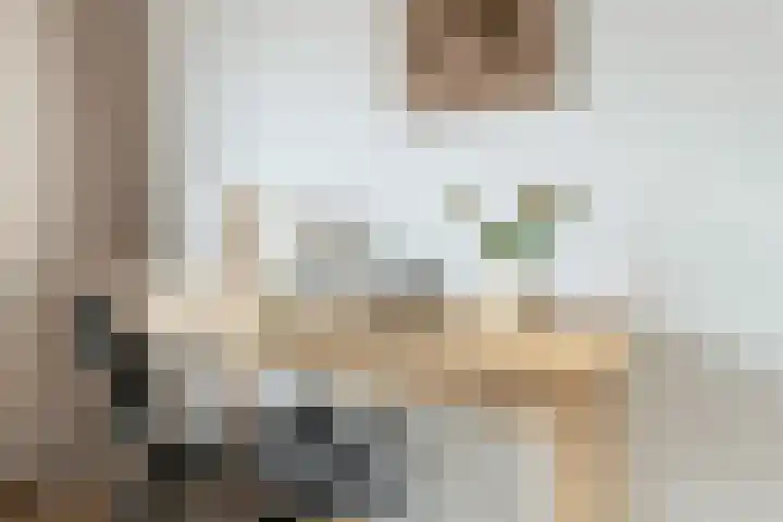 Jasmijnlaan 3 Gouda thumbnail 47