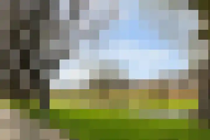 Jasmijnlaan 3 Gouda thumbnail 61