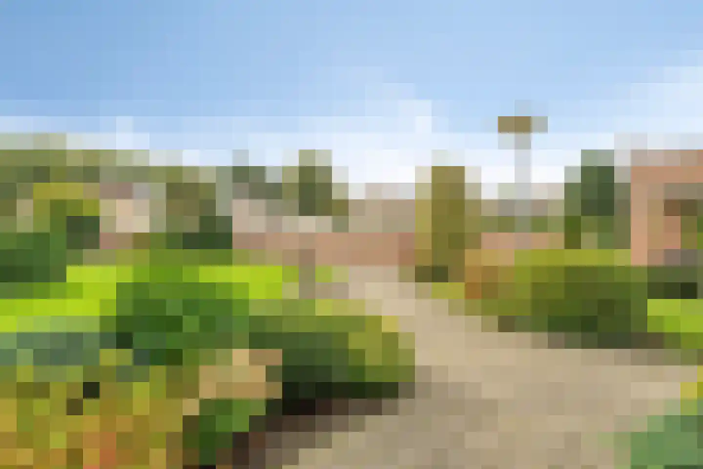 Jasmijnlaan 48 Roden thumbnail 37