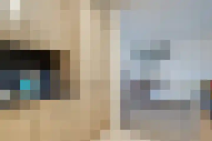 Jasmijnlaan 54 Roden thumbnail 17