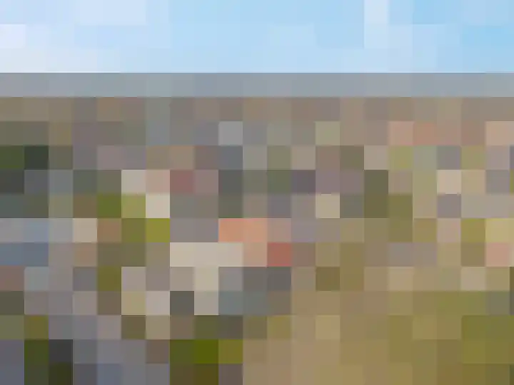 Jasmijnlaan 54 Roden thumbnail 31