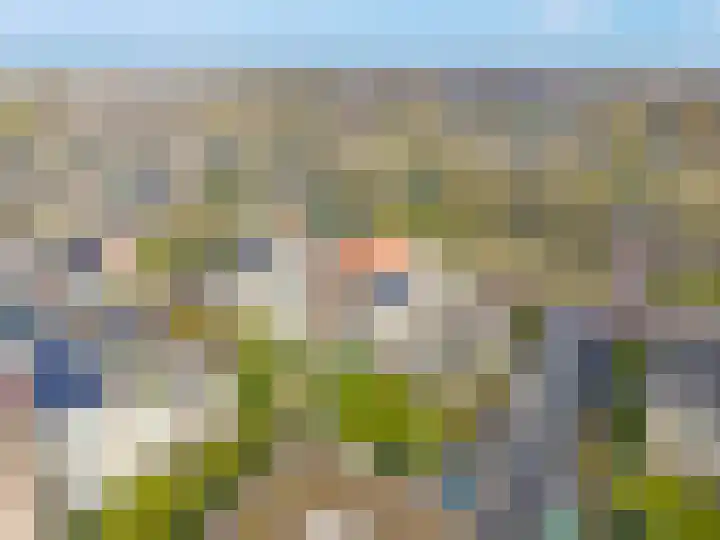 Jasmijnlaan 54 Roden thumbnail 32