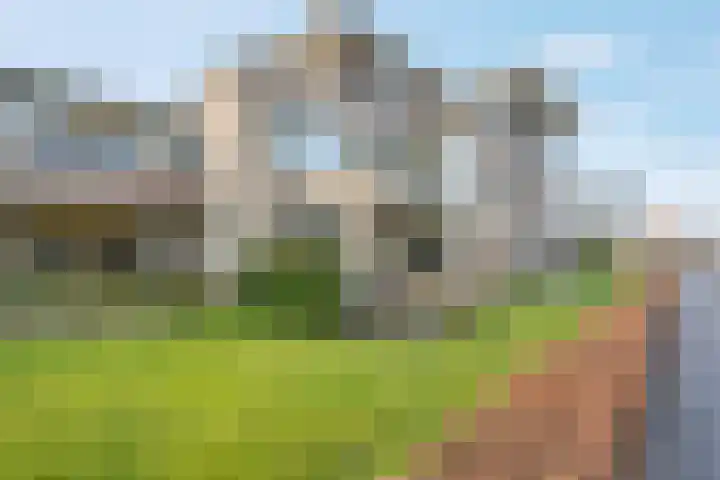 Jasmijnlaan 54 Roden thumbnail 4