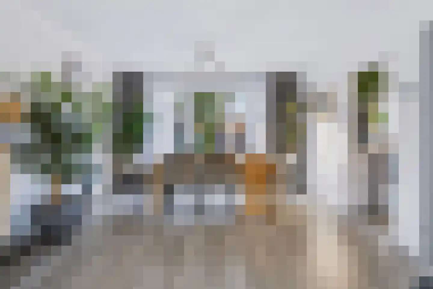 Jasmijnlaan 56 Oudenbosch thumbnail 4