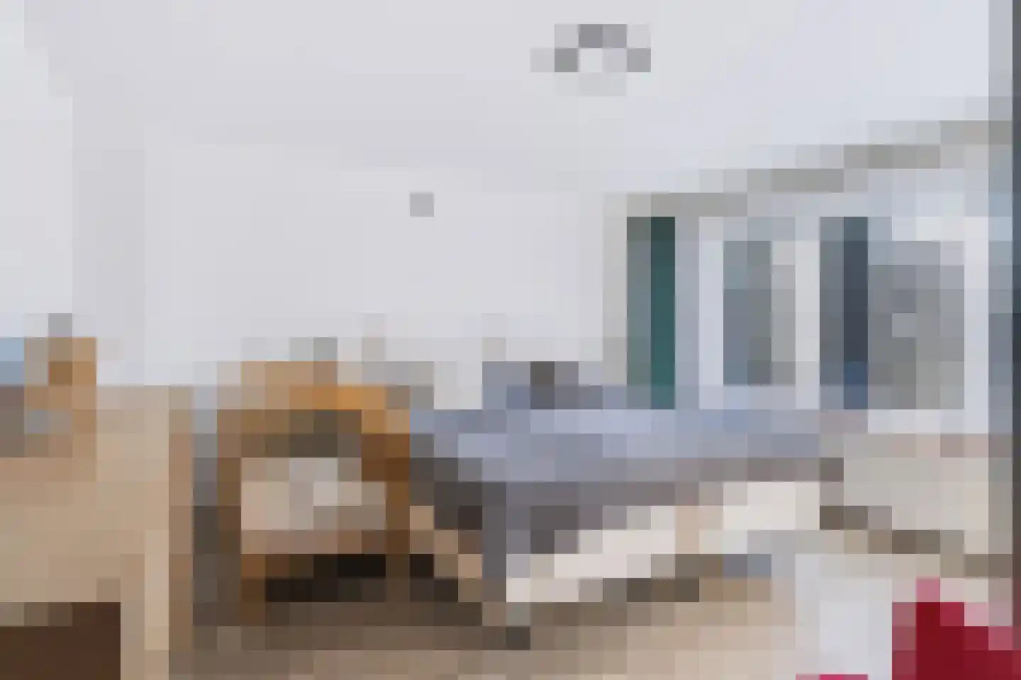 Jasmijnlaan 56 Oudenbosch thumbnail 6