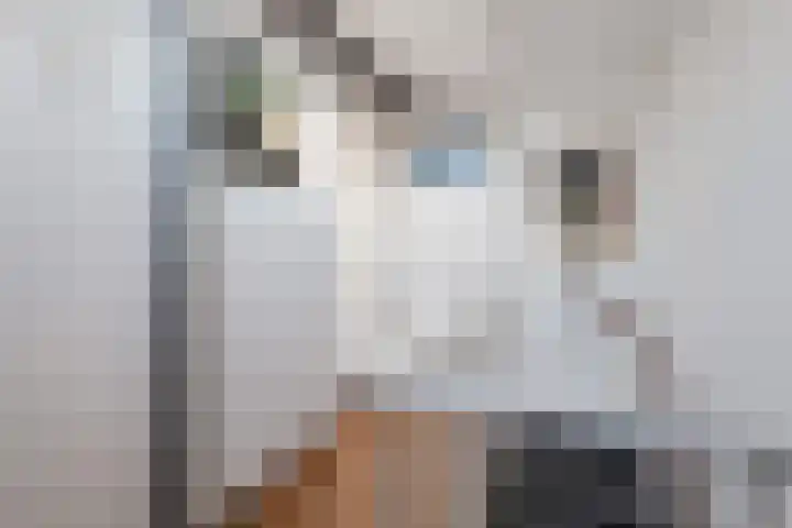 Jasmijnlaan 7 Woerden thumbnail 28