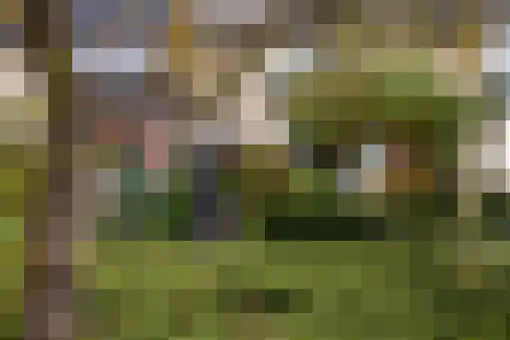 Jasmijnlaan 7 Woerden thumbnail 41