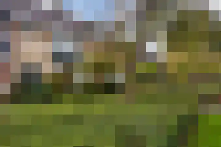Jasmijnlaan 7 Woerden thumbnail 43