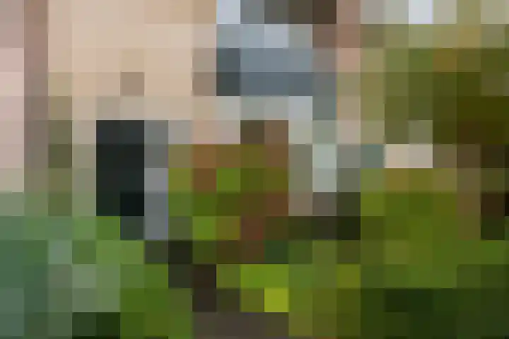Jasmijnlaan 7 Woerden thumbnail 45