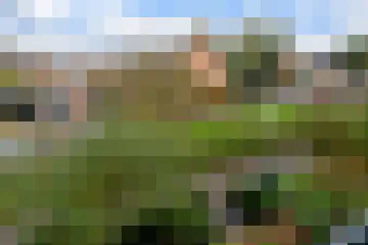 Jasmijnlaan 7 Woerden thumbnail 47