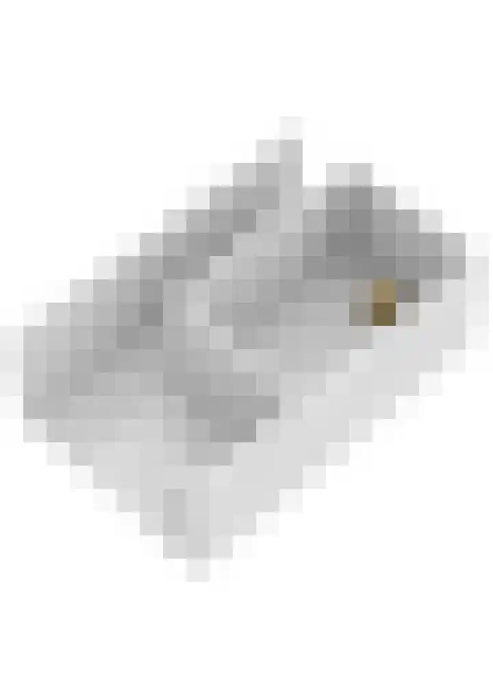 Jasmijnlaan 71 Winterswijk thumbnail 32