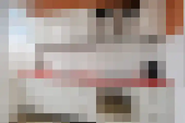Jasmijnlaan 71 Winterswijk thumbnail 6