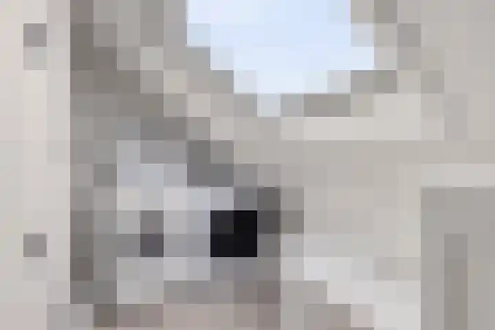 Jasmijnlaan 87 Amstelveen thumbnail 22