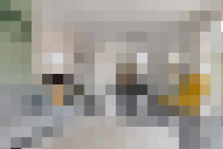 Jasmijnlaan 87 Amstelveen thumbnail 7