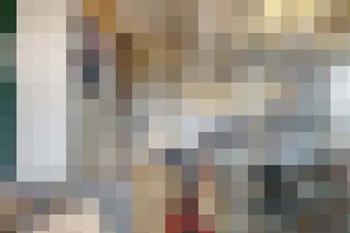 Jasmijnlint 20 Limmen thumbnail 24