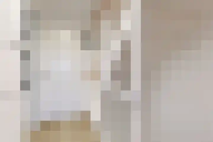 Jasmijnlint 20 Limmen thumbnail 29