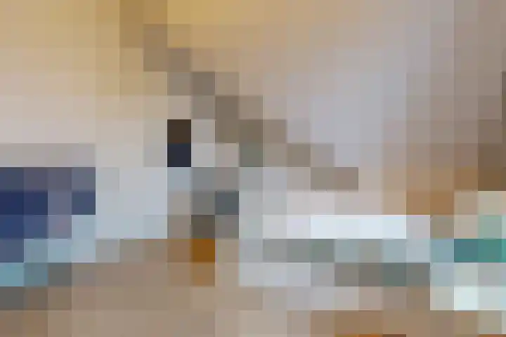 Jasmijnlint 20 Limmen thumbnail 34