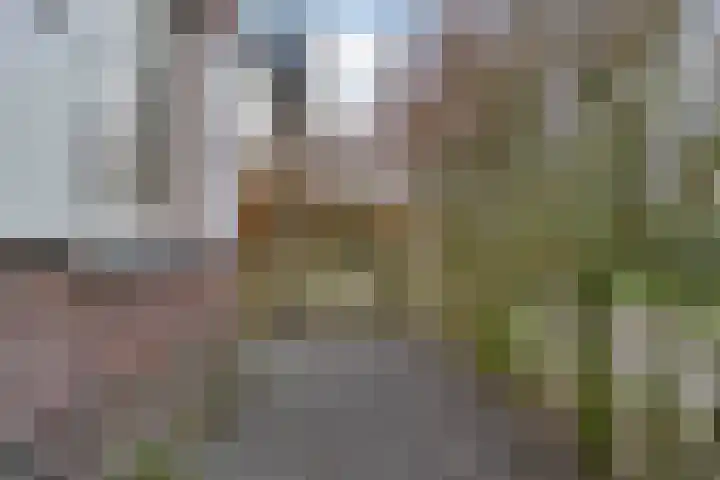 Jasmijnlint 20 Limmen thumbnail 40