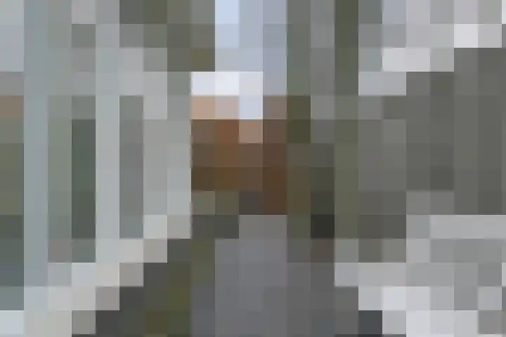 Jasmijnlint 20 Limmen thumbnail 43