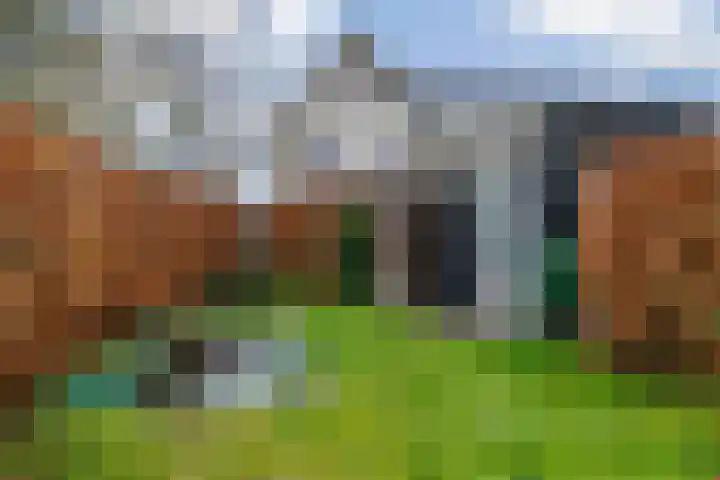 Jasmijnlint 20 Limmen thumbnail 49
