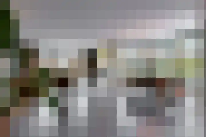 Jasmijnlint 20 Limmen thumbnail 9
