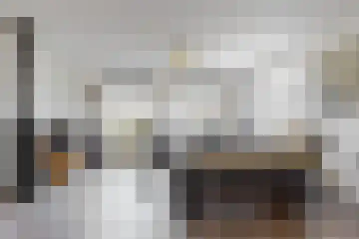 Jasmijnlint 26 Limmen thumbnail 14