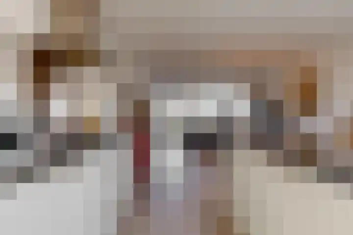 Jasmijnlint 26 Limmen thumbnail 17