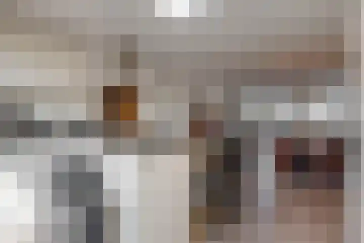 Jasmijnlint 26 Limmen thumbnail 18