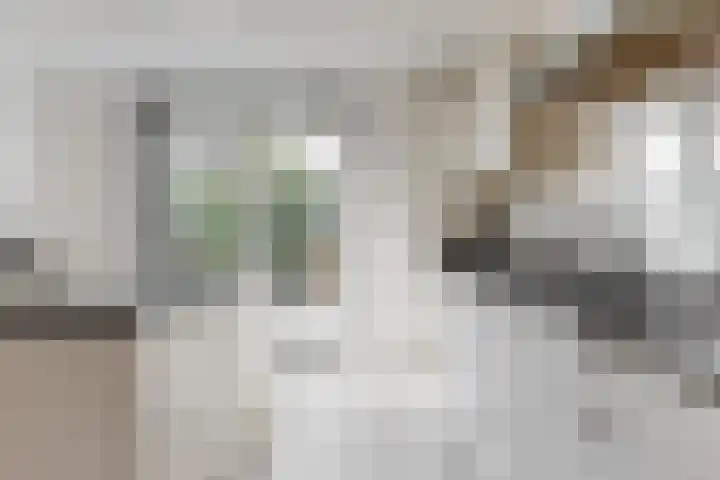 Jasmijnlint 26 Limmen thumbnail 19