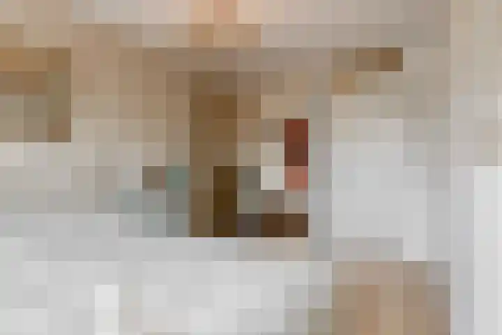 Jasmijnlint 26 Limmen thumbnail 22