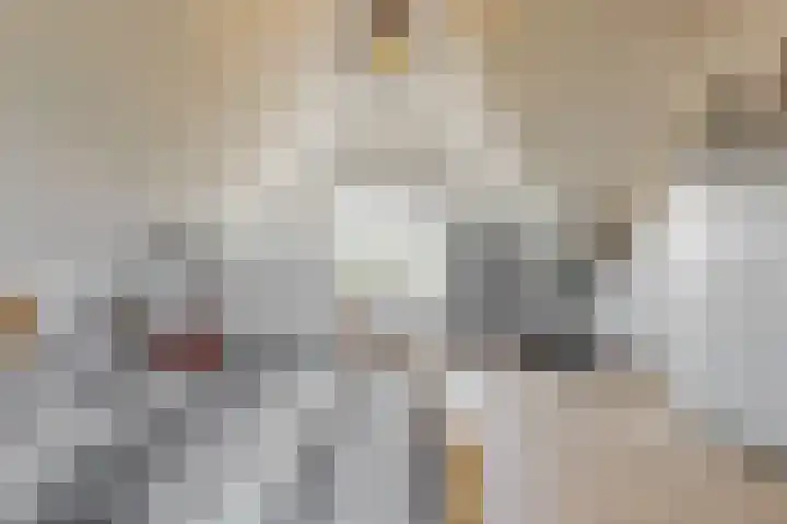 Jasmijnlint 26 Limmen thumbnail 29