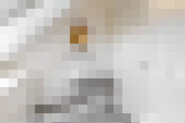 Jasmijnlint 26 Limmen thumbnail 33