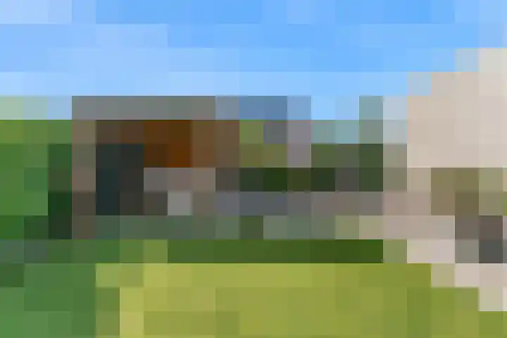 Jasmijnlint 26 Limmen thumbnail 36