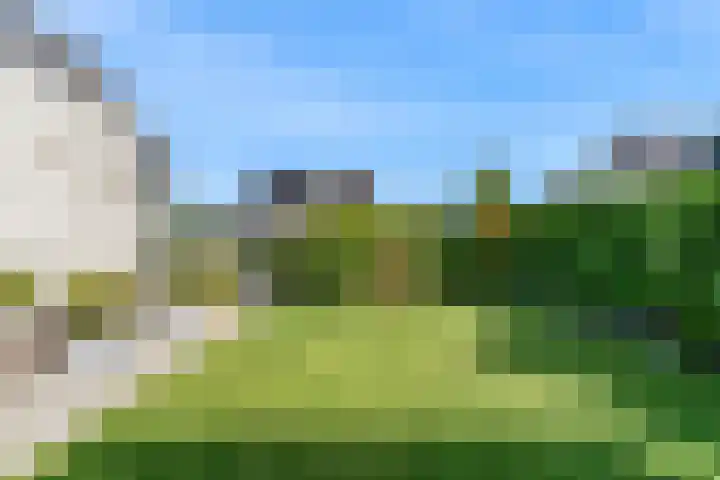 Jasmijnlint 26 Limmen thumbnail 37